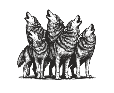 Wolf Pack: 3 Bedroom Home